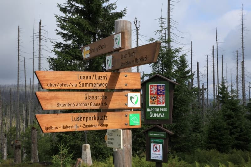 Otevření Modrého sloupu znovu posoudí Správa Národního parku Šumava