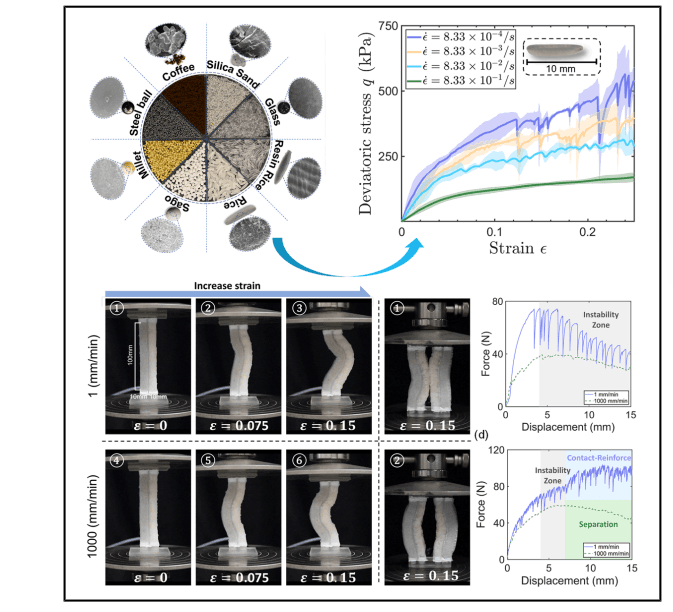 Rýže mění pravidla hry: Od potraviny k chytrým materiálům pro roboty i ochranu