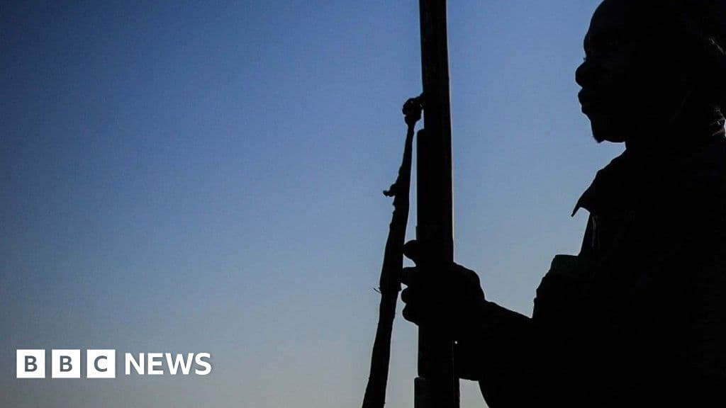 Útok ozbrojenců v Nigérii: Senátor hovoří o vysokém počtu obětí