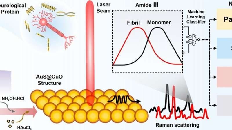 Jediná kapka slin odhalí nemoci mozku s přesností až 98 %