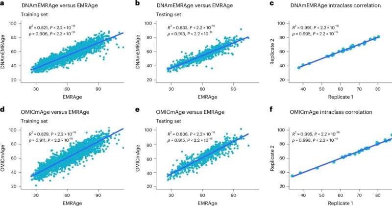 Revoluční model OMICmAge: Jak věda mění pohled na biologický věk a zdraví