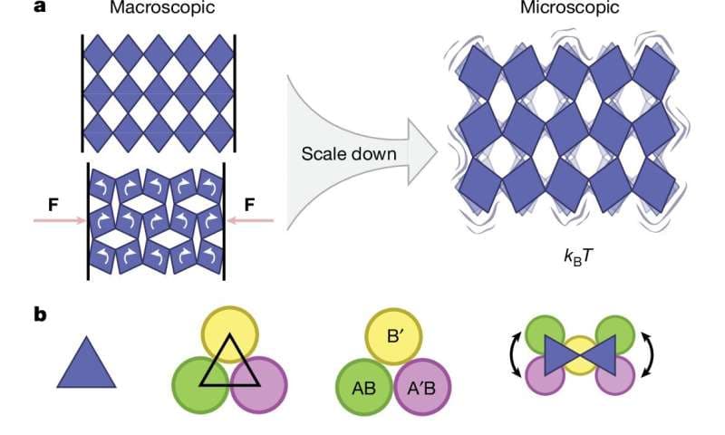 Průlom v mikrosvětě: Vědci vytvořili první metamateriály, které se samy smršťují a natahují