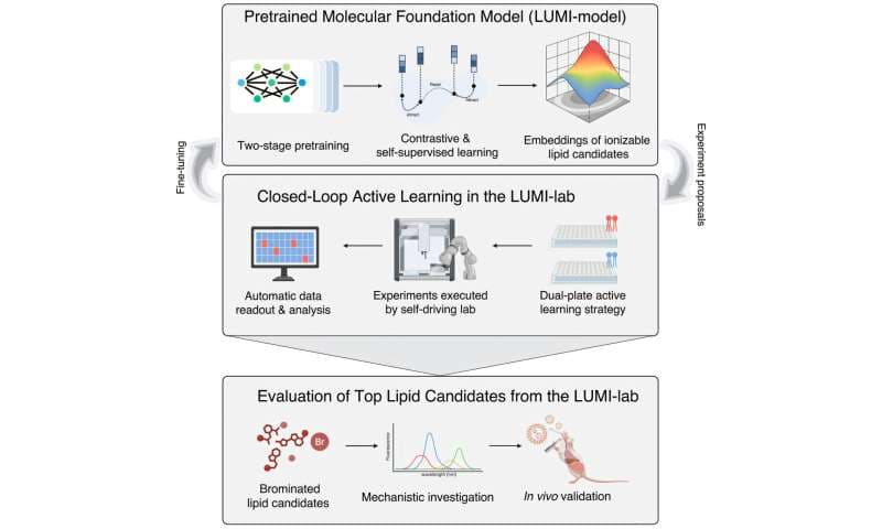 Revoluce v medicíně: Umělá inteligence a roboti objevili látky, které zefektivní doručování mRNA