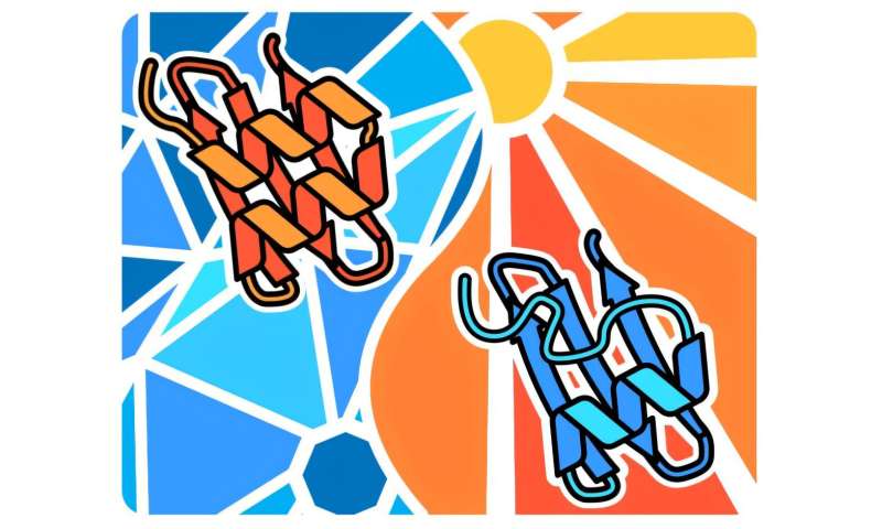 Proteiny jako stroje na dálkové ovládání: Nová metoda využívá teplo k preciznímu řízení procesů v těle