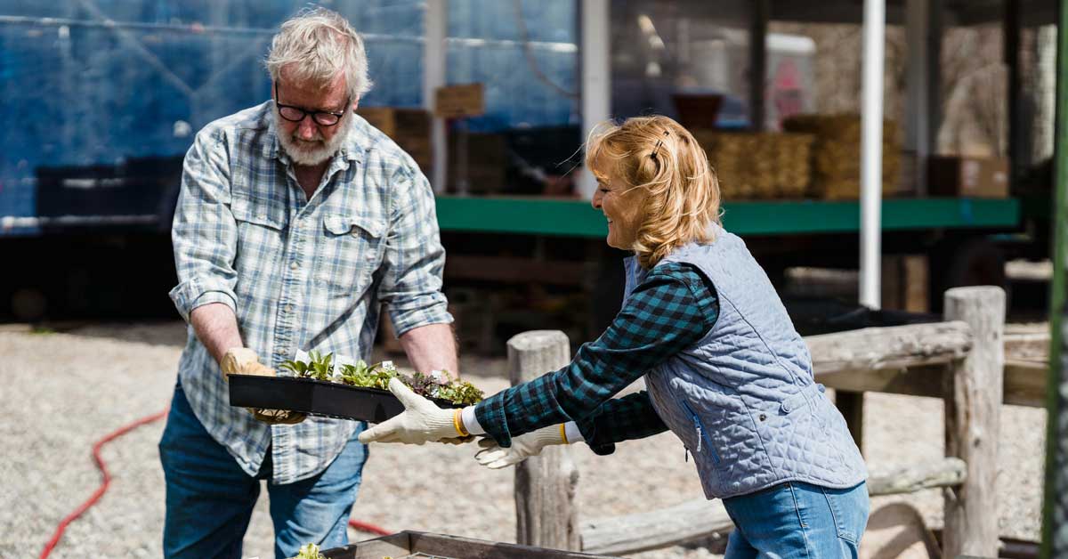 Budoucnost bydlení: Města s vlastními farmami mění životy obyvatel