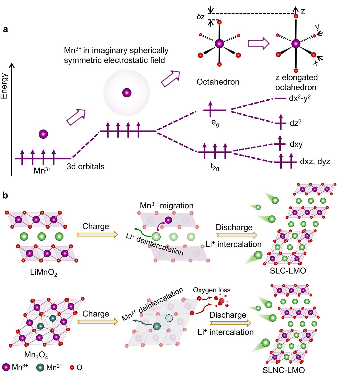 Japonští vědci objevili revoluční materiál pro baterie: Levnější, trvanlivější a ekologičtější
