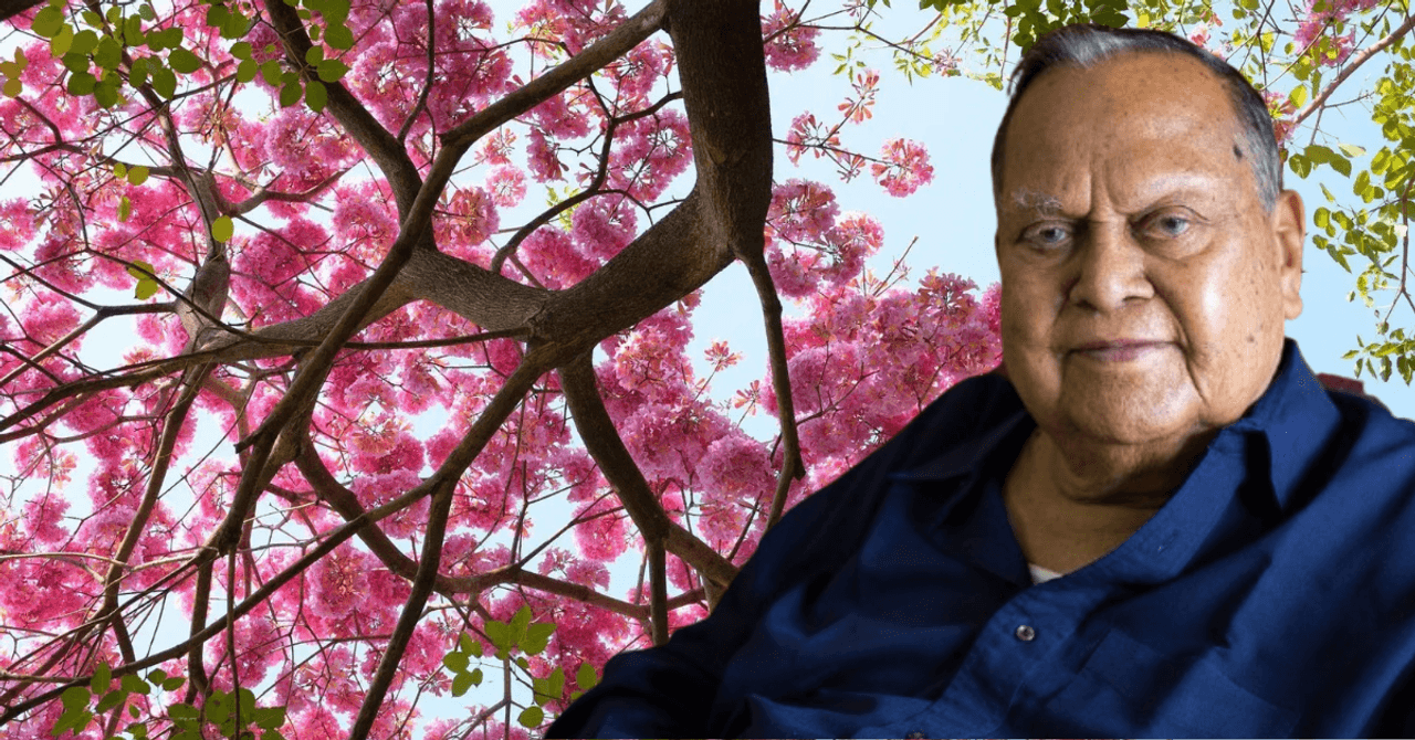 Bengalúru se každé léto zbarví do růžova díky vizionáři: Jak jeden úředník proměnil město