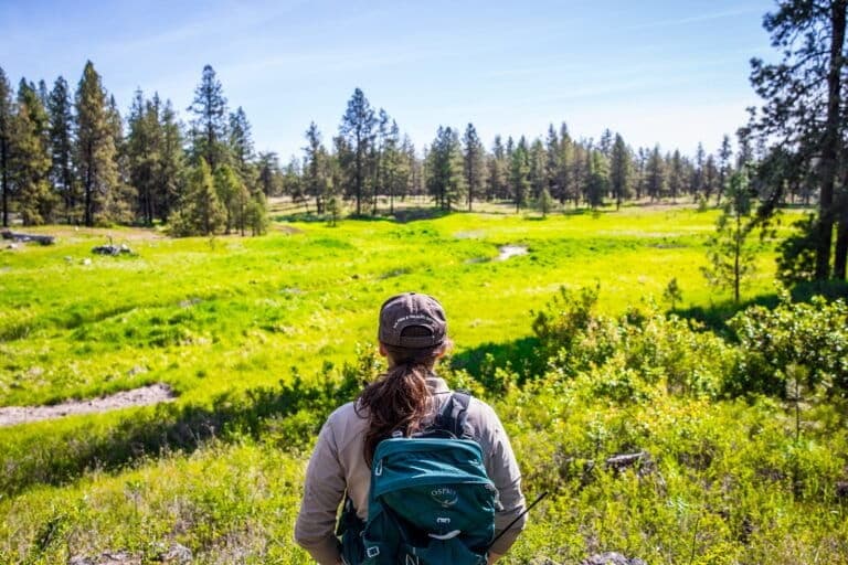 27 % ochránců přírody trpí úzkostí: Proč se hroutí ti, kteří chrání naši planetu?
