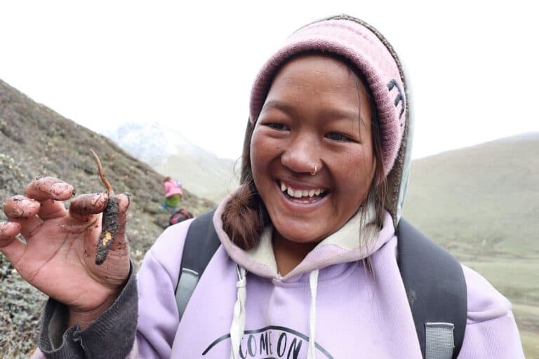 Divoké rostliny: Skrytý poklad pro zdraví, přírodu i peněženky