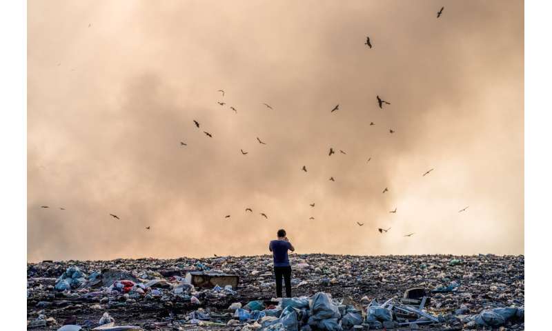 Larvy hmyzu likvidují viry a řeší problém s odpadem