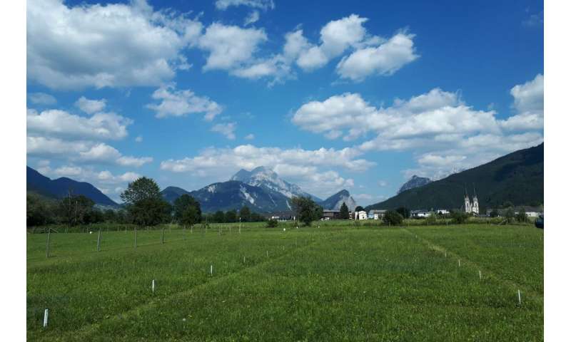 Vědci odhalili: Hnojiva mohou zničit klíčové spojence rostlin